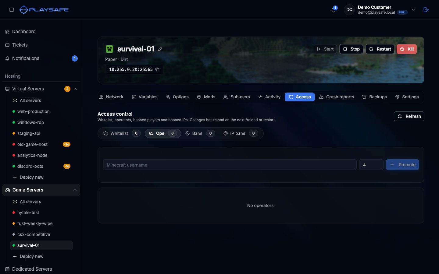 Access tab with the Whitelist, Ops, Bans and IP bans subtabs and the Promote form