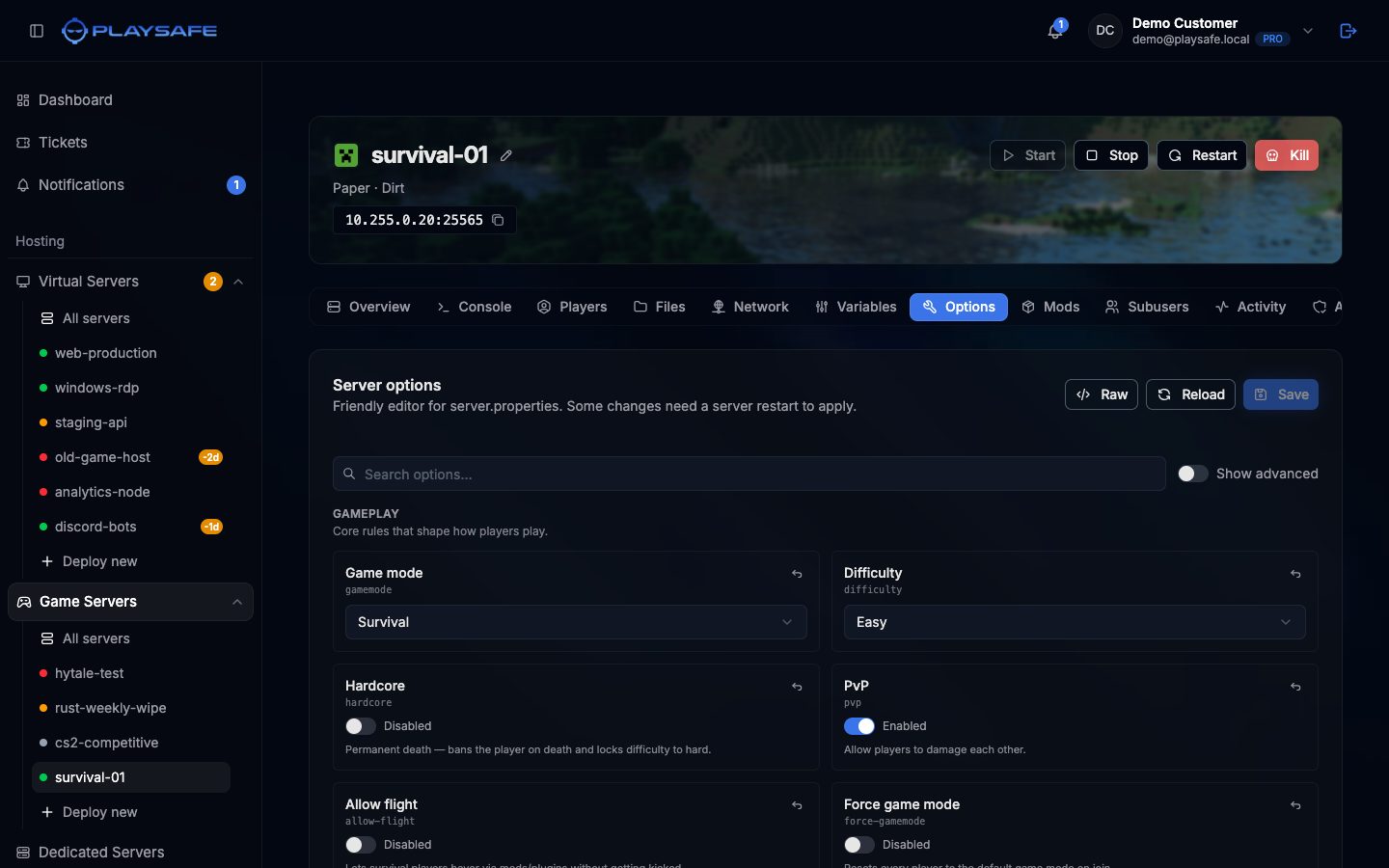 Options tab of a Minecraft server with the Server options form